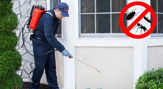 Şenpazar Dezenfeksiyon böcek ilaçlama ve haşere kontrolü — ilaclama-tr.com